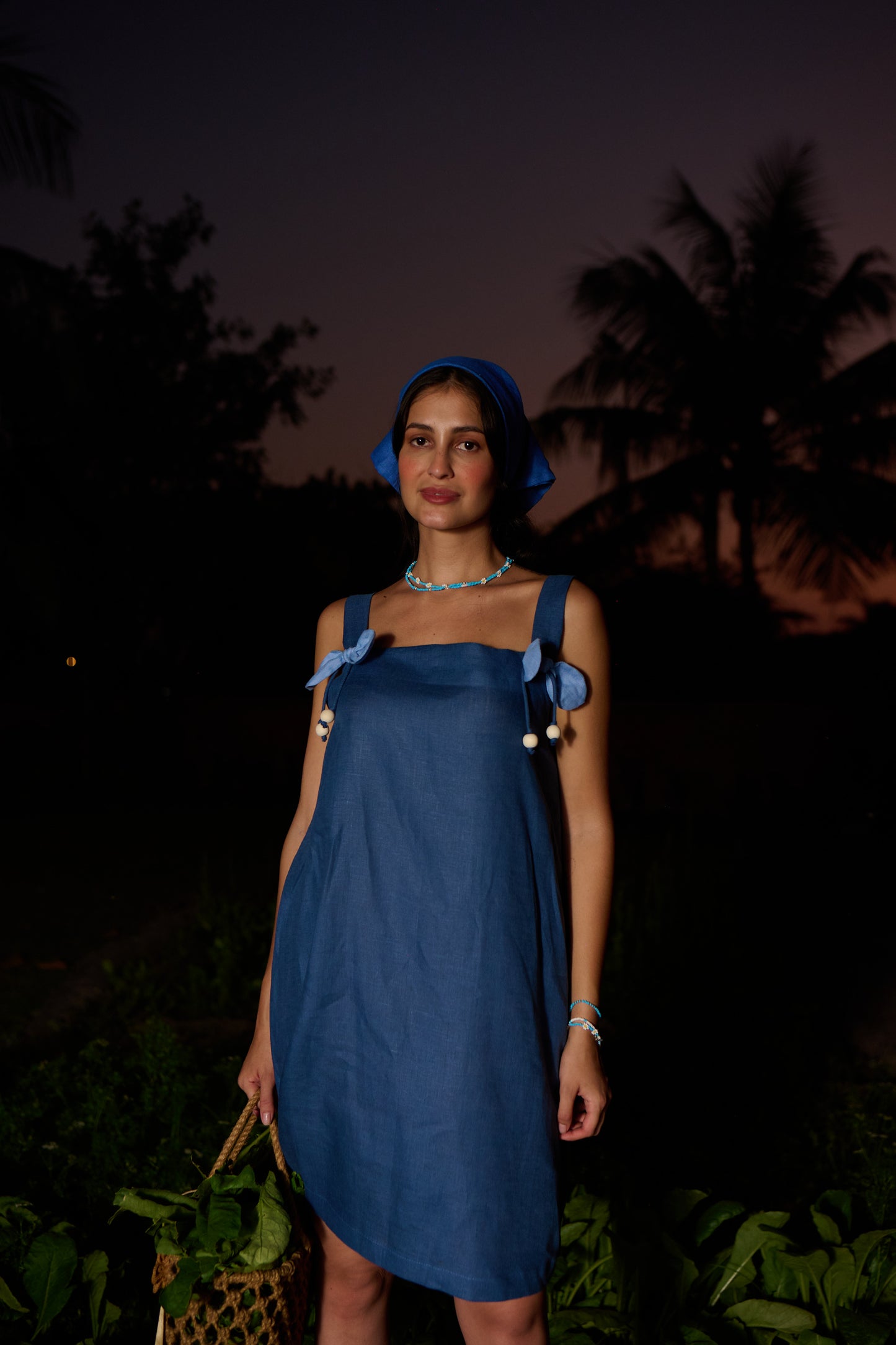 Dahila Drift Dress