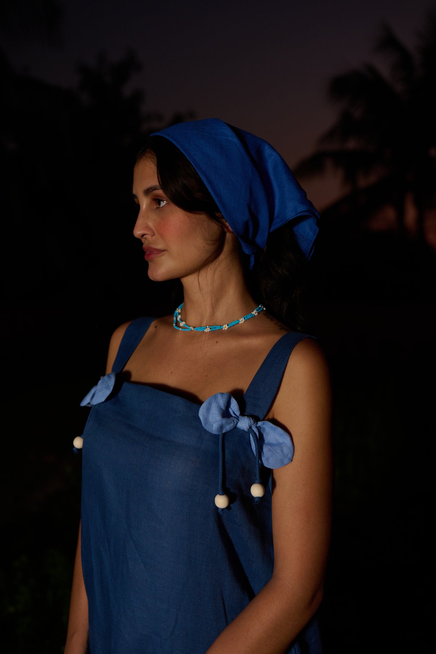 Dahila Drift Dress